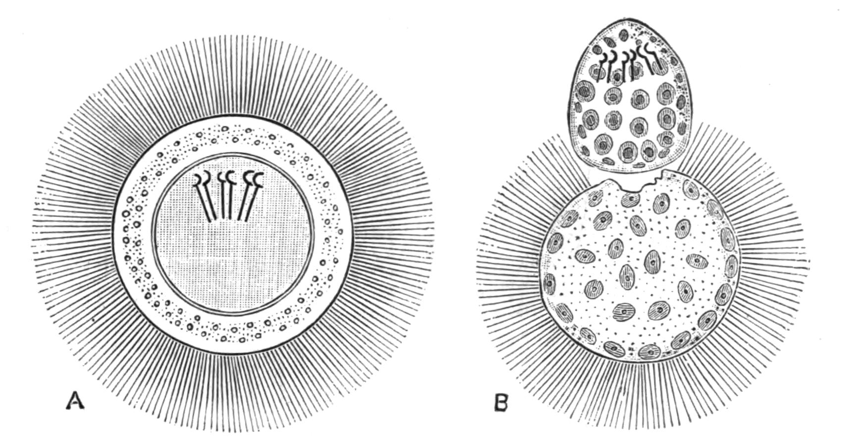 fig42