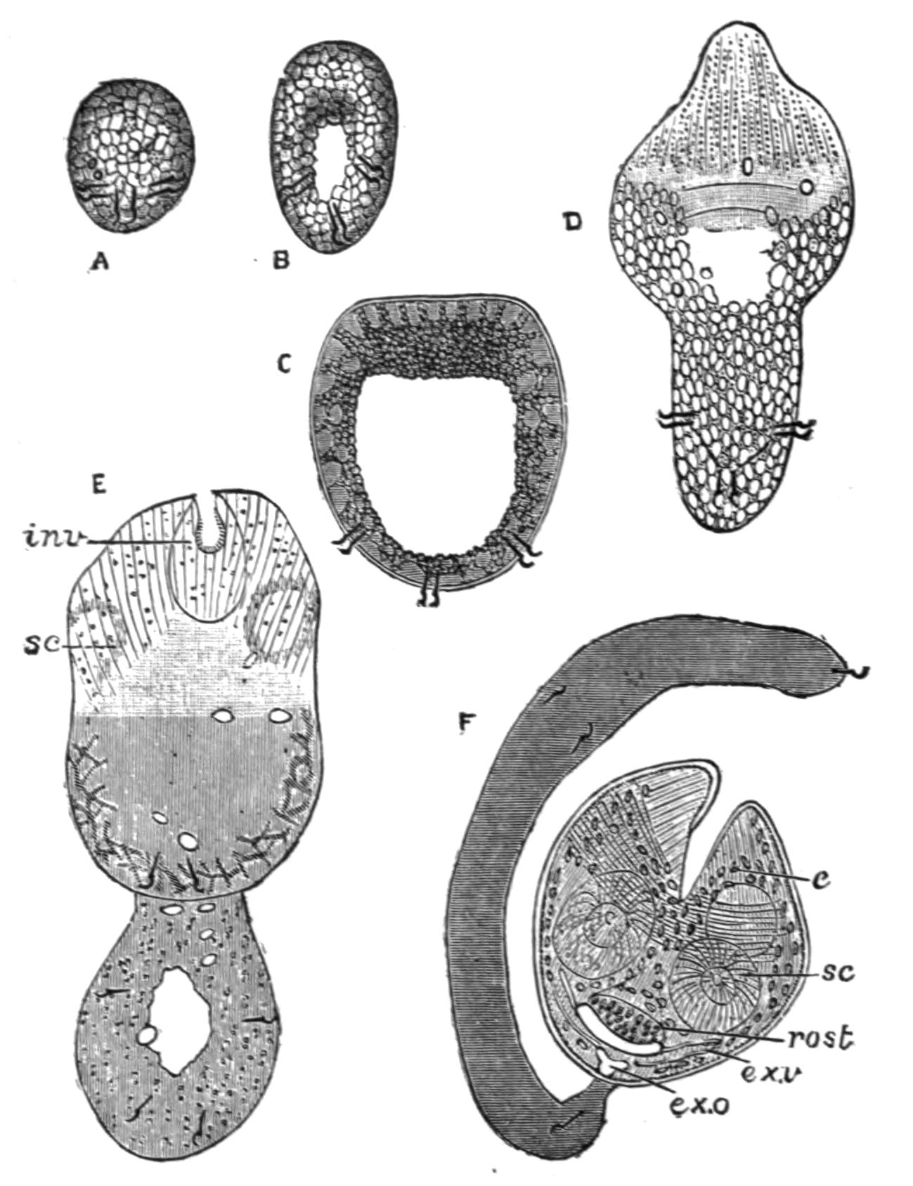 fig43