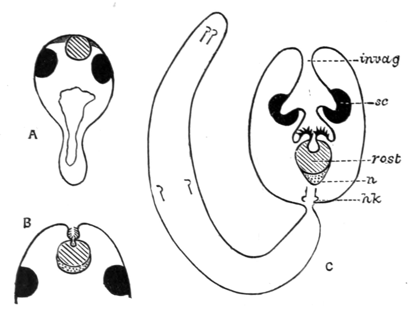 fig44