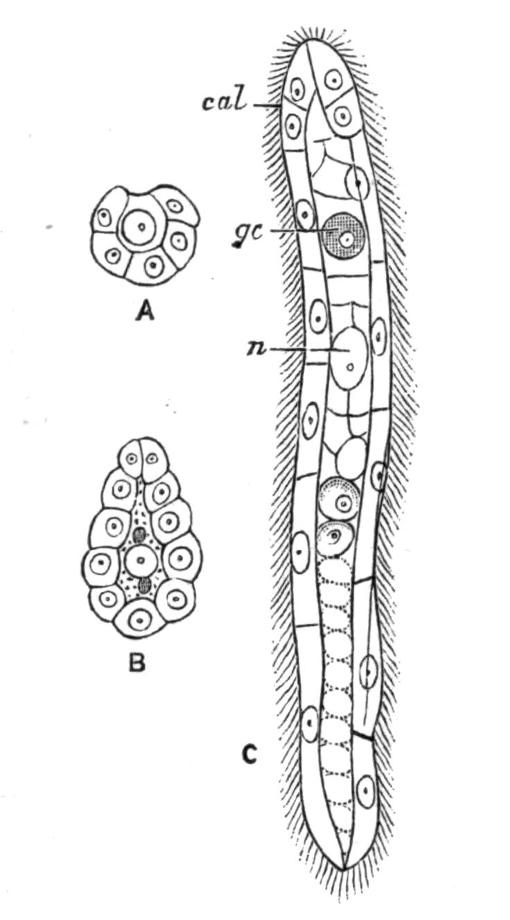 fig45