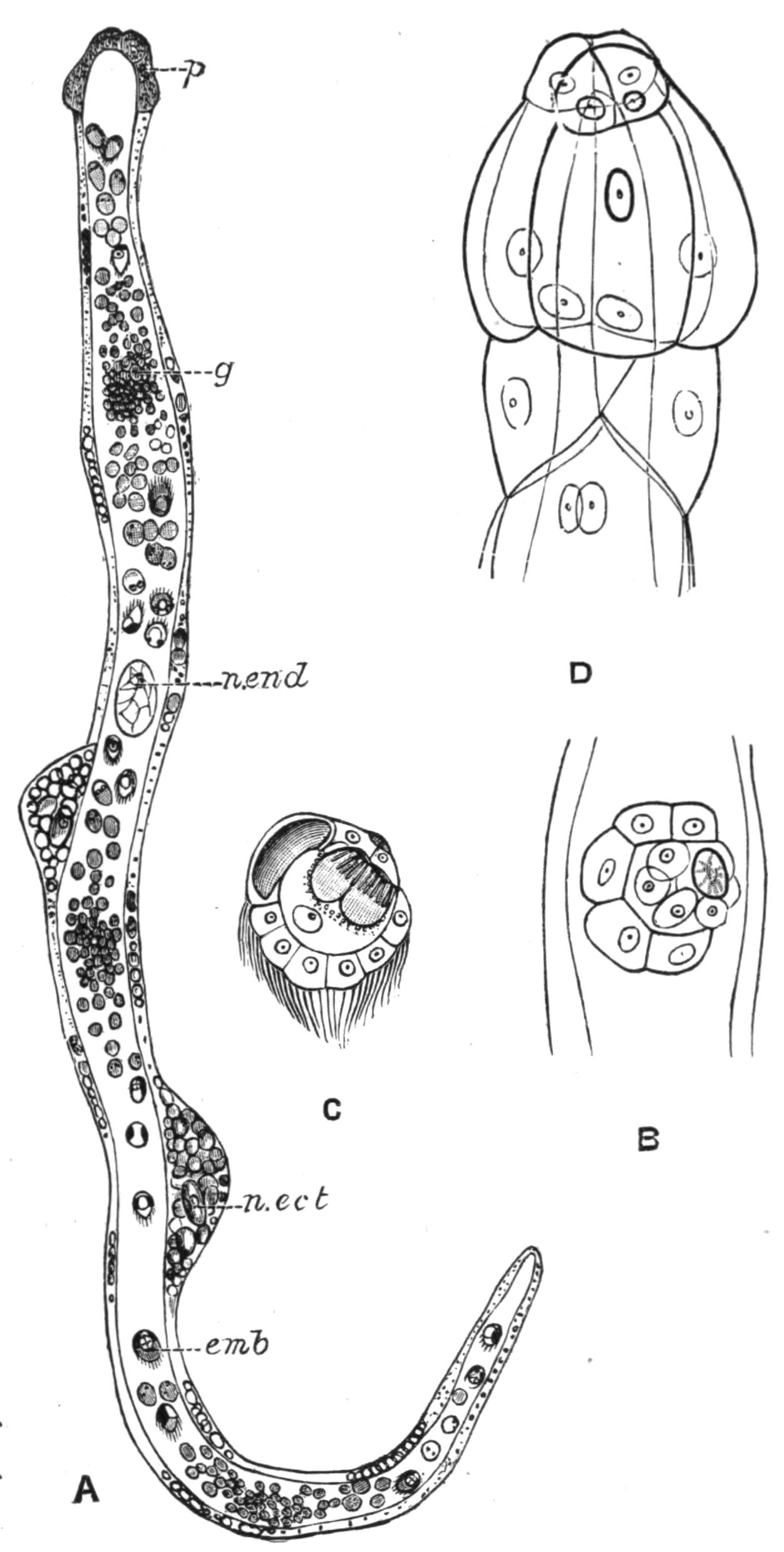 fig46