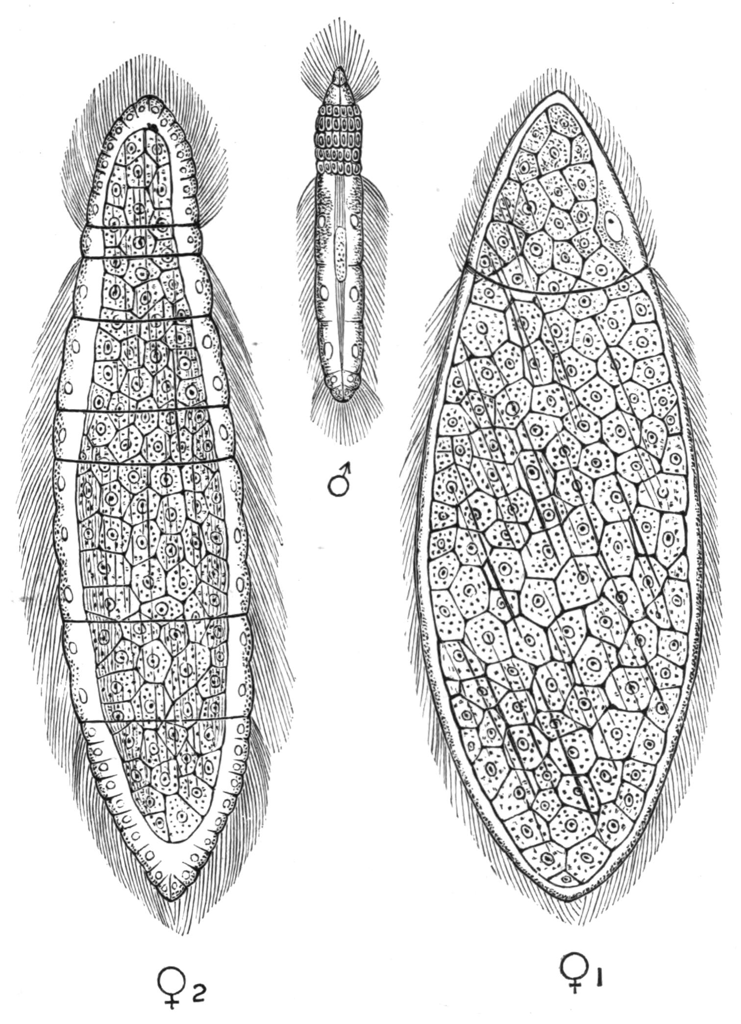 fig47