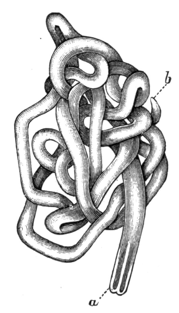 fig48