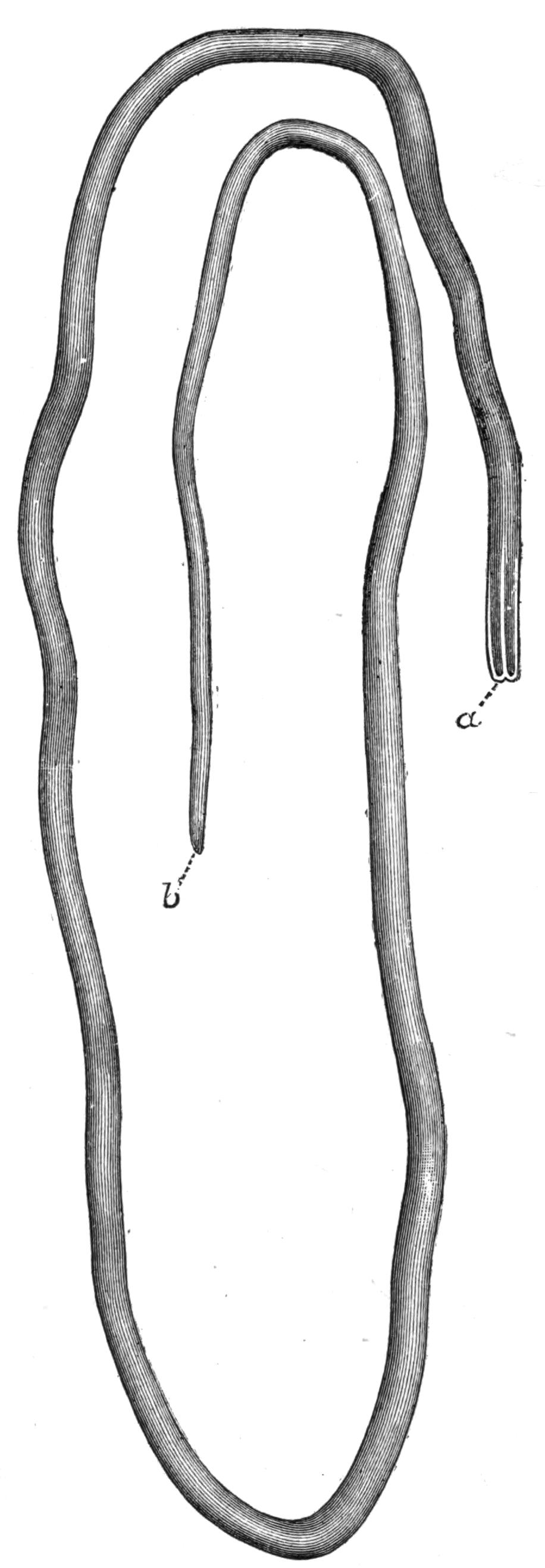 fig49