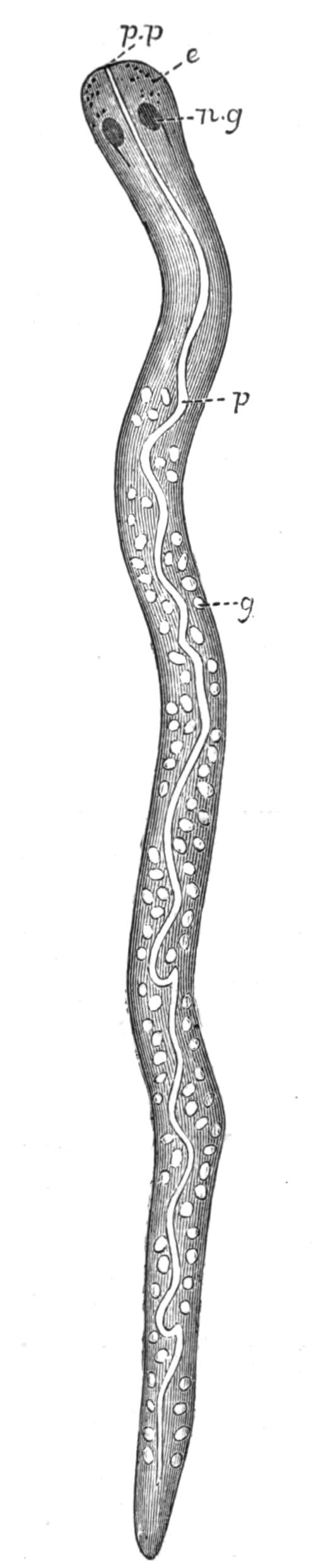 fig51