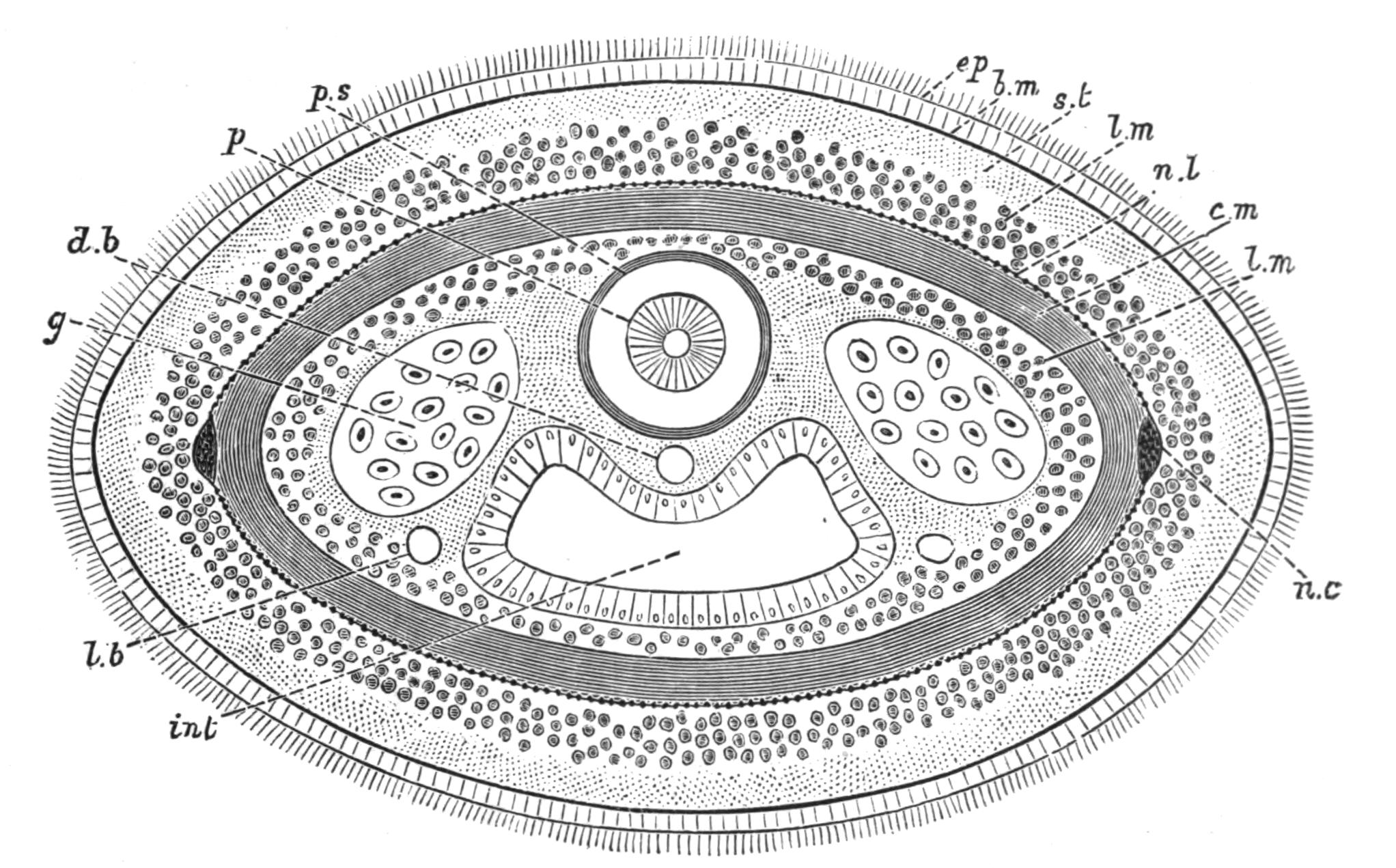 fig52