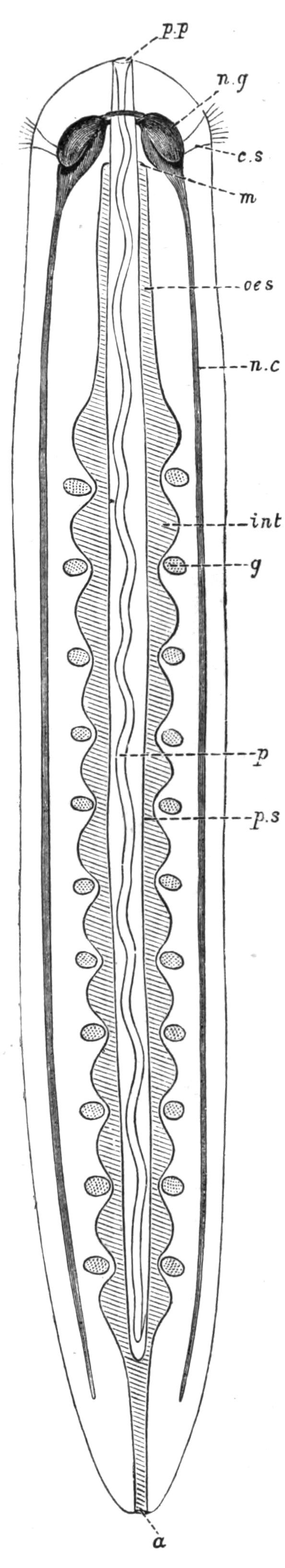 fig53