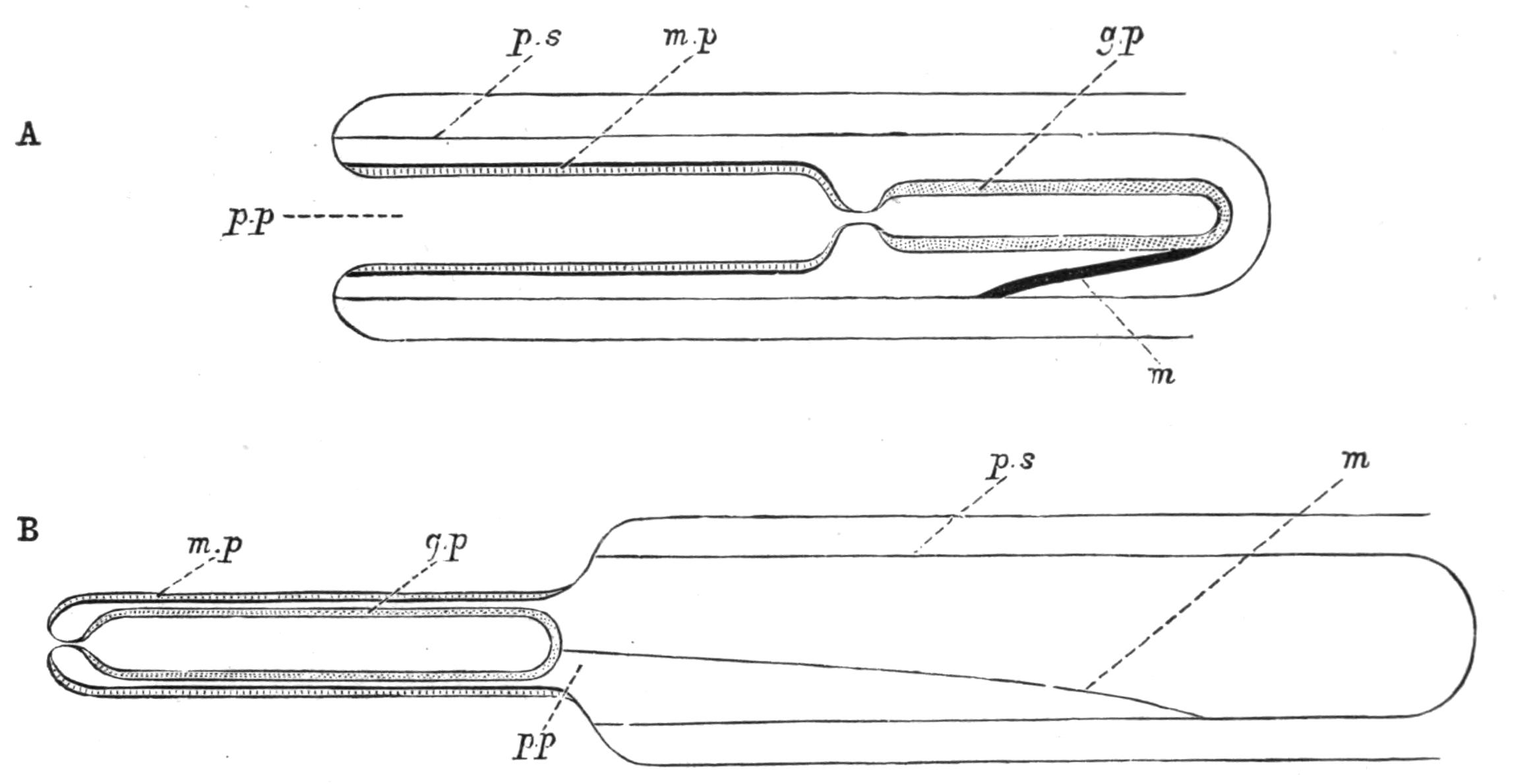 fig54