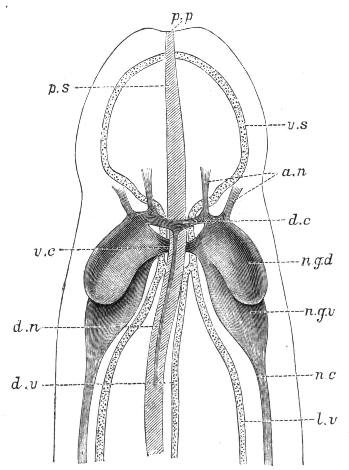 fig55