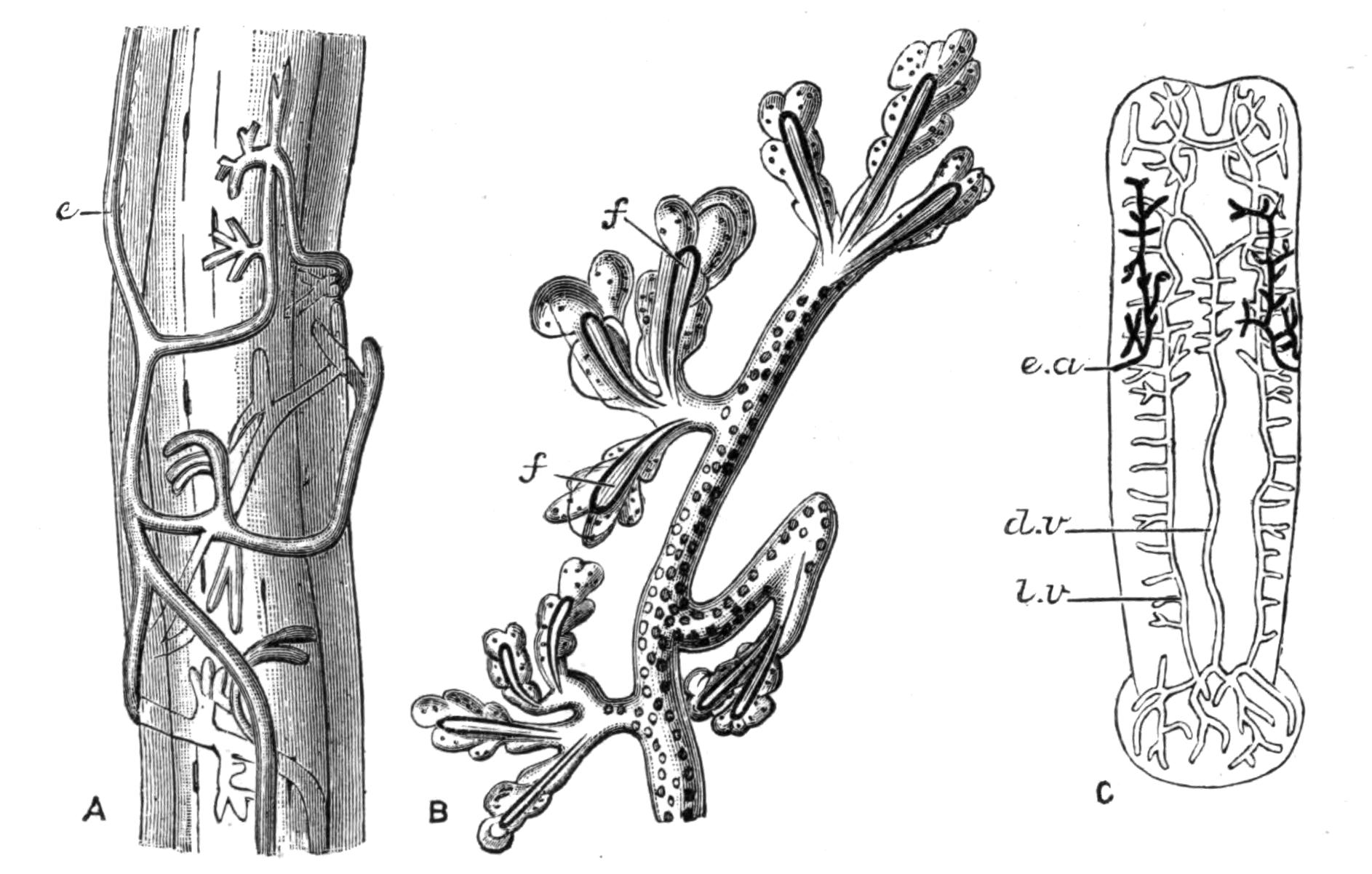 fig56