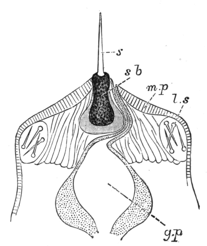 fig57