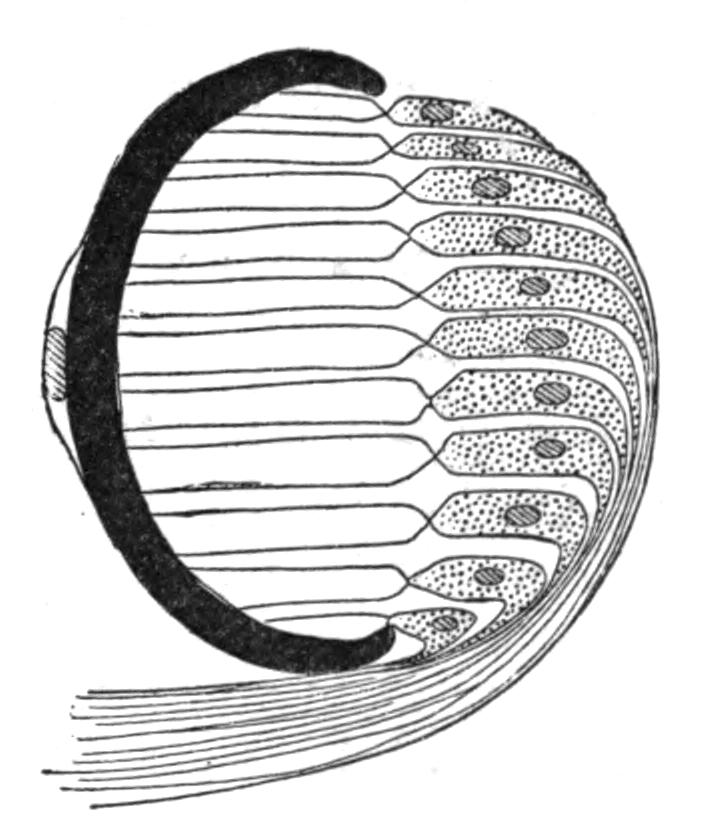 fig6