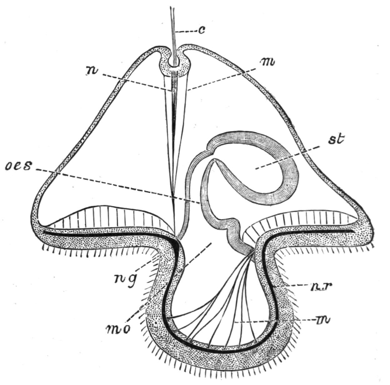 fig60