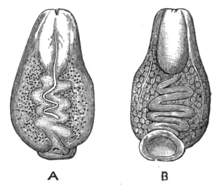 fig61