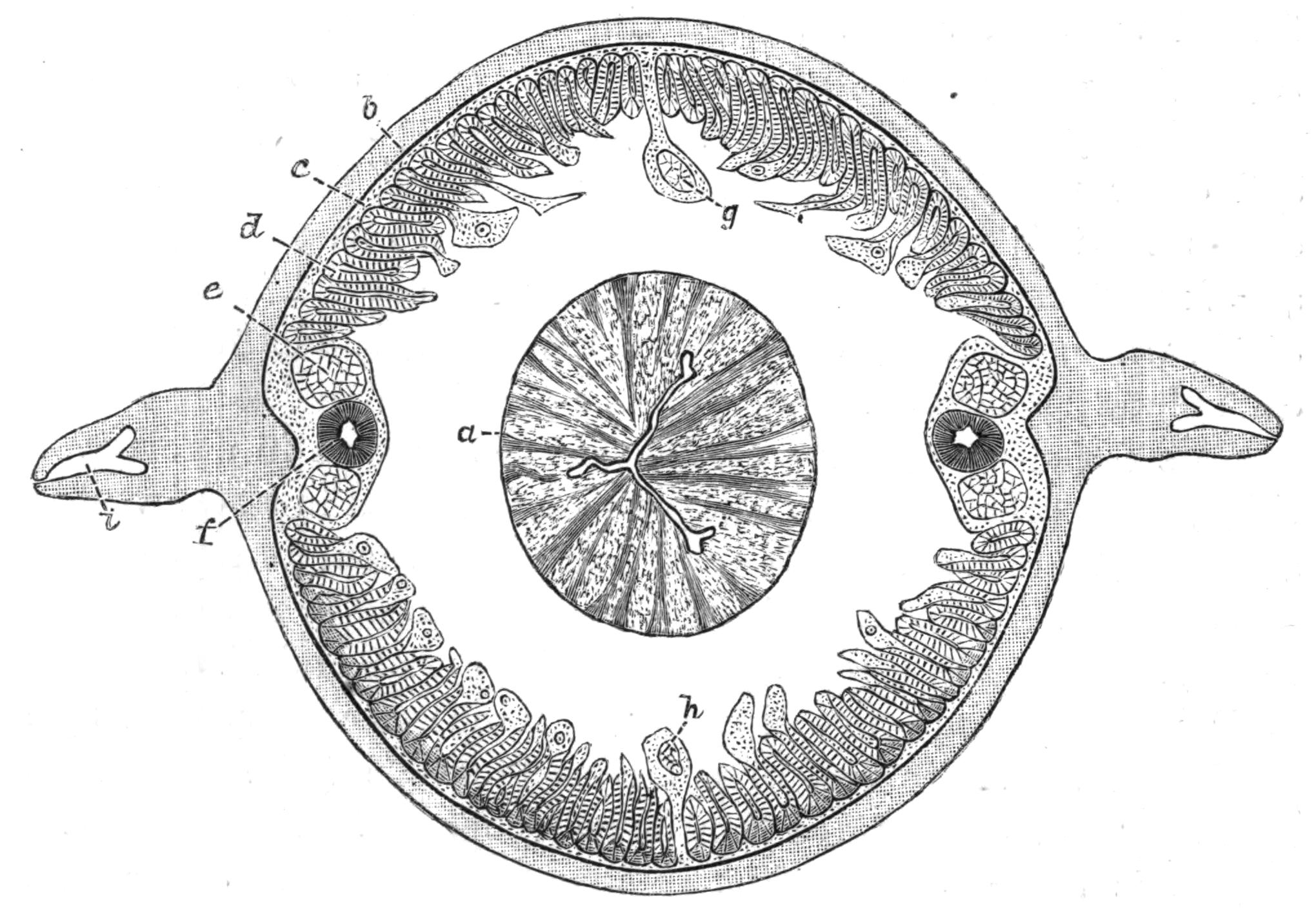 fig62