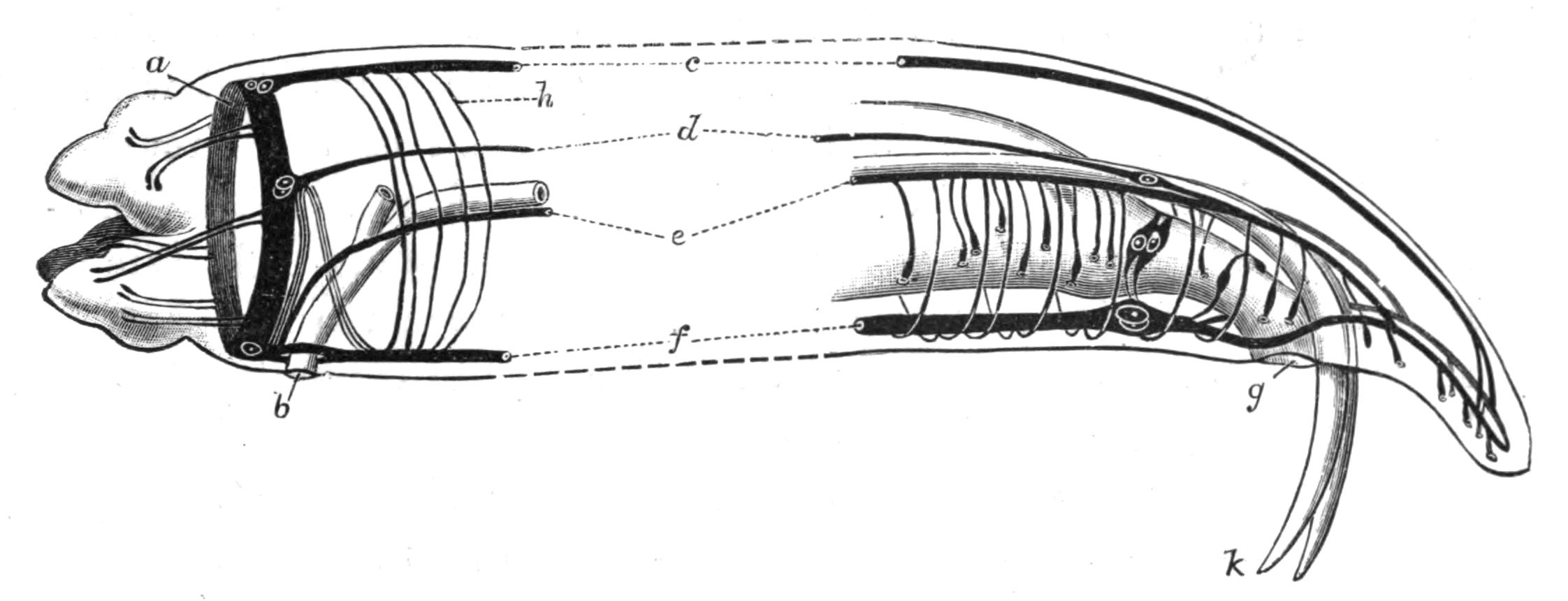 fig63