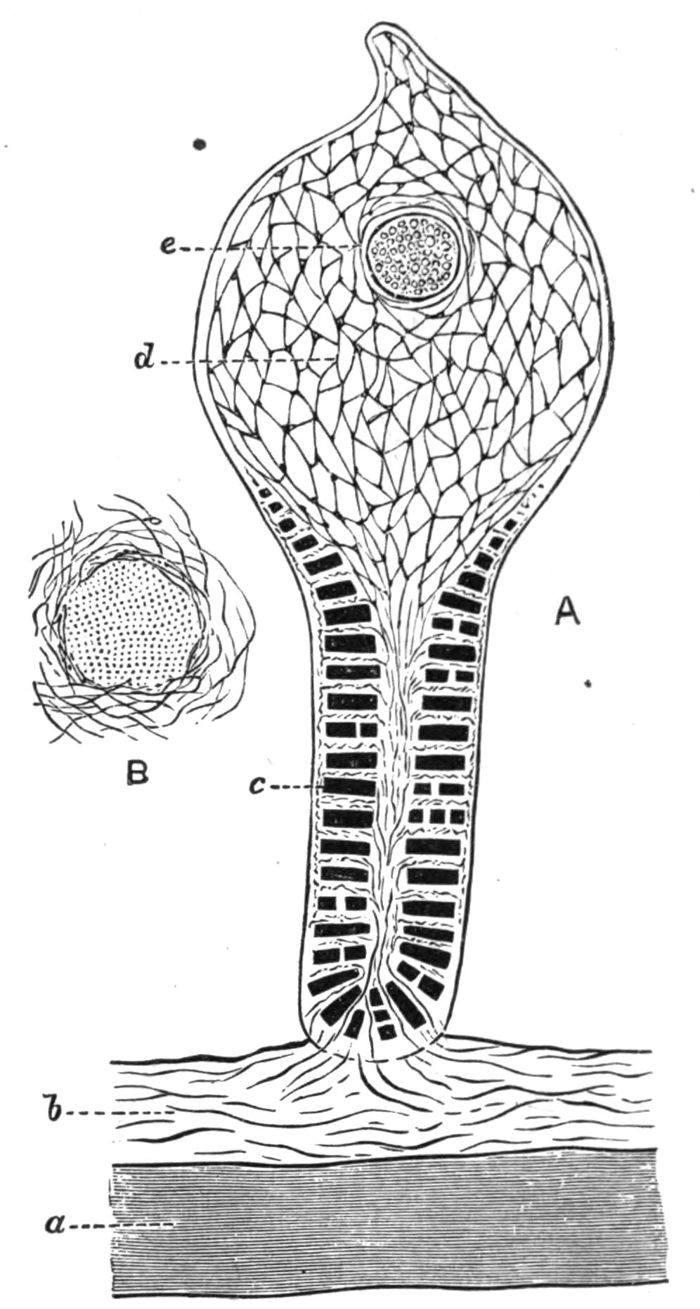 fig64