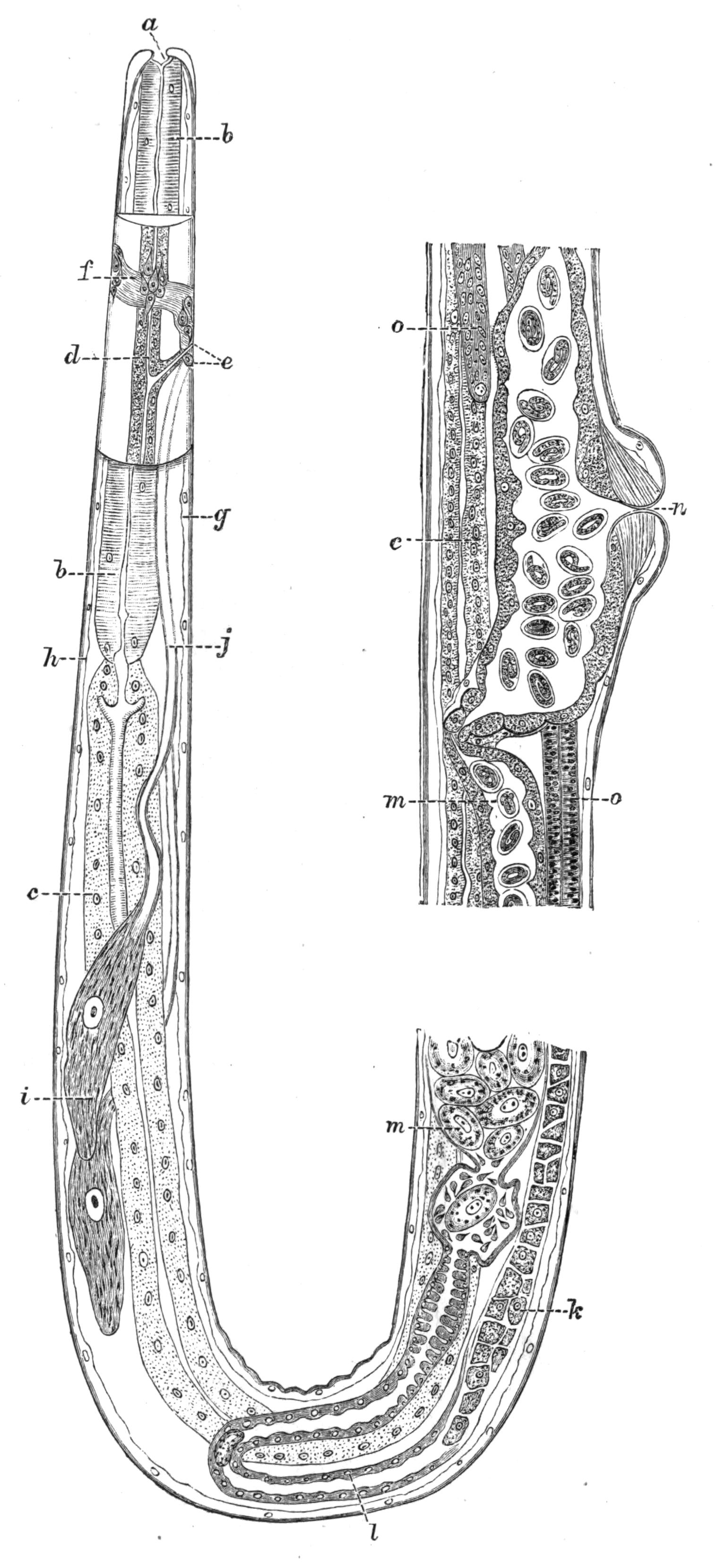 fig65