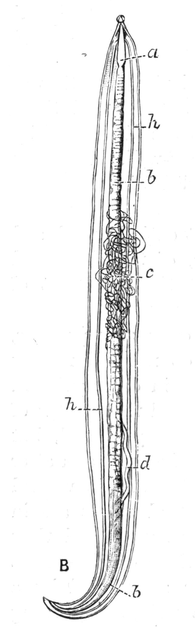 fig66