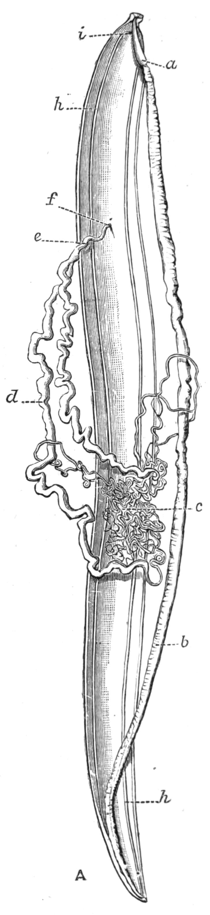 fig67