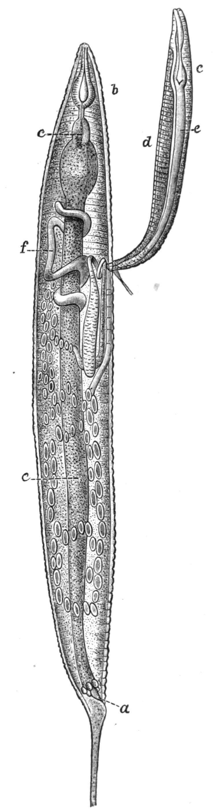 fig69