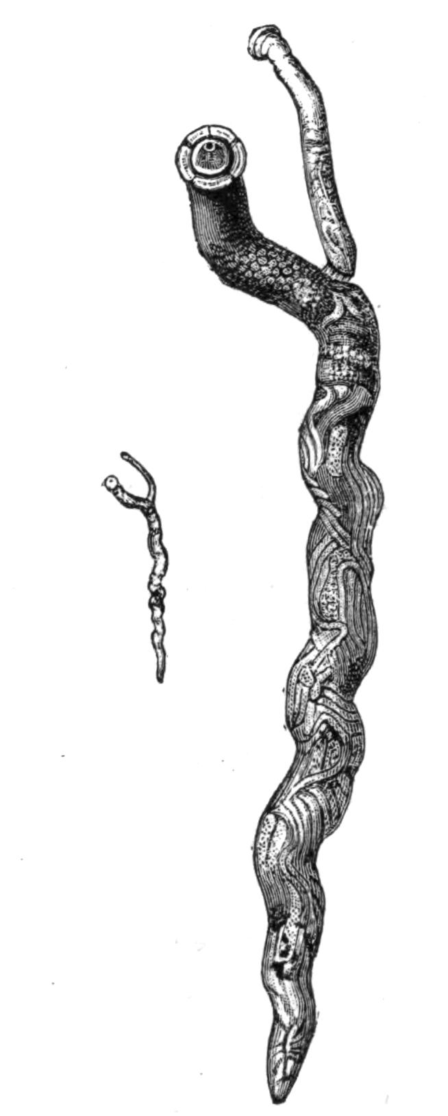 fig70