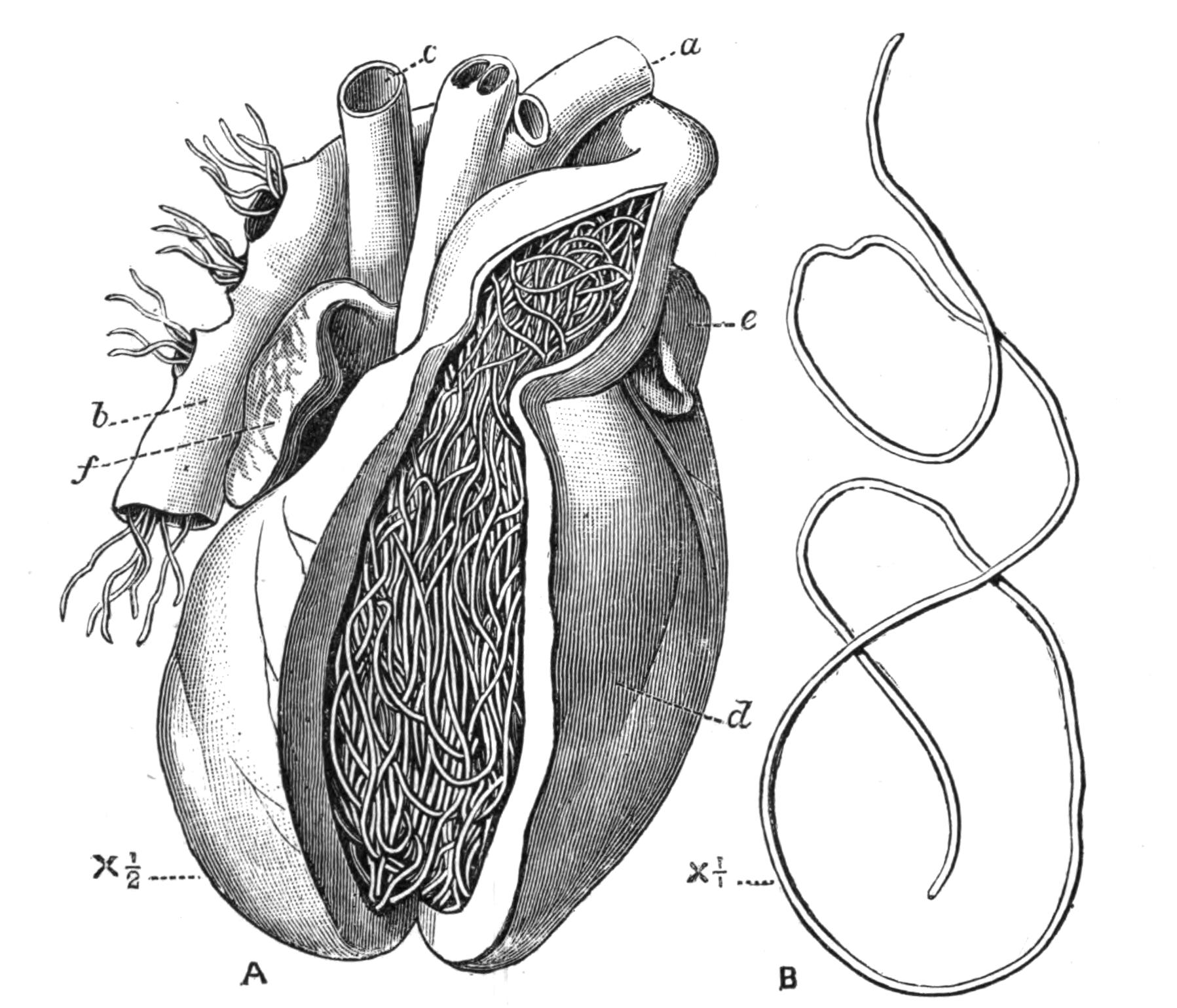 fig73