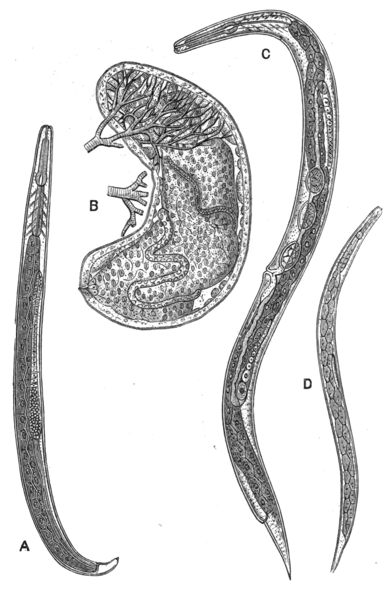 fig74