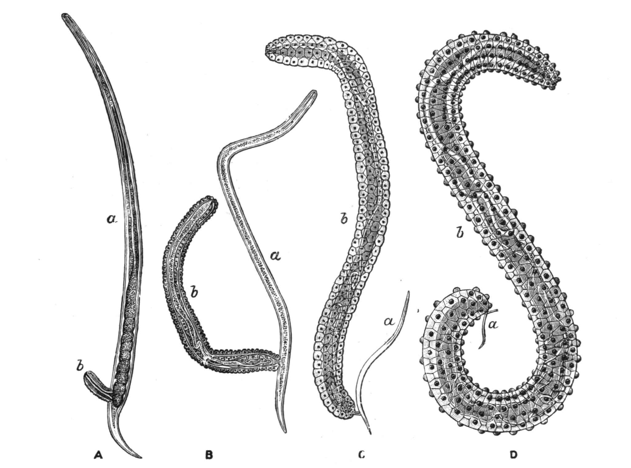 fig76