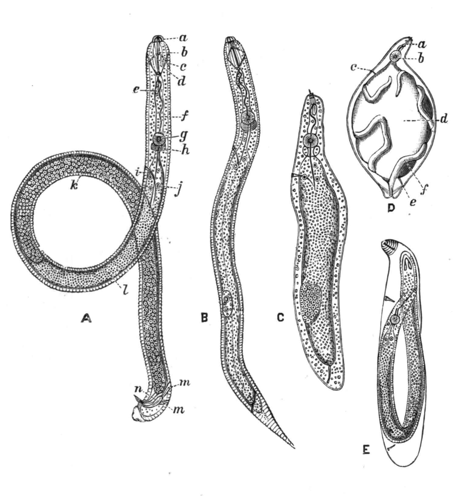 fig78