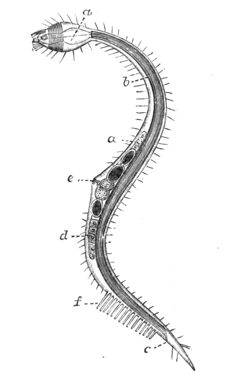 fig79