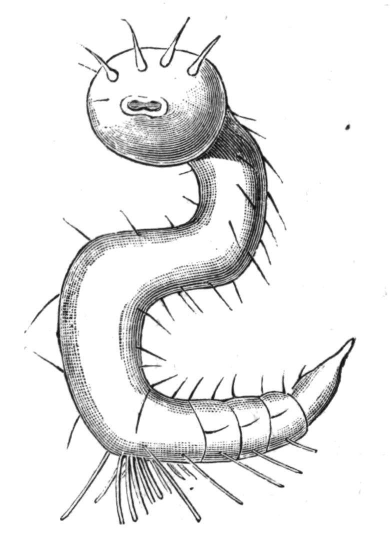 fig80