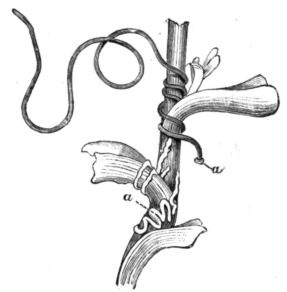 fig82