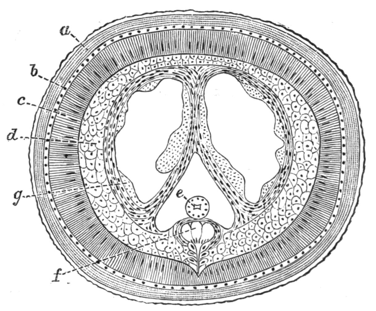 fig83