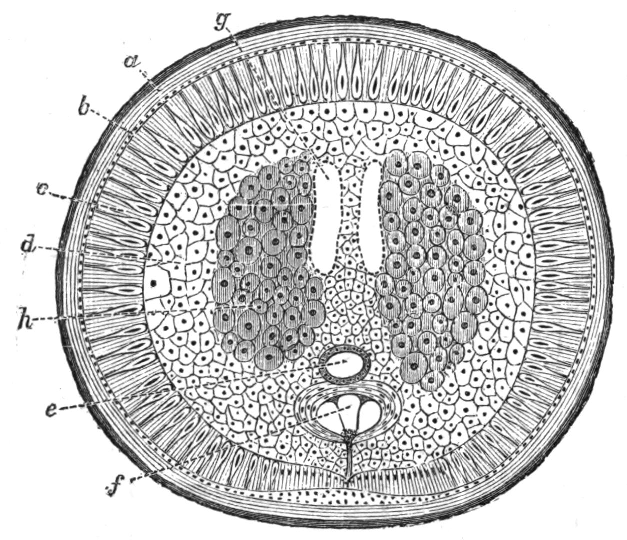fig84