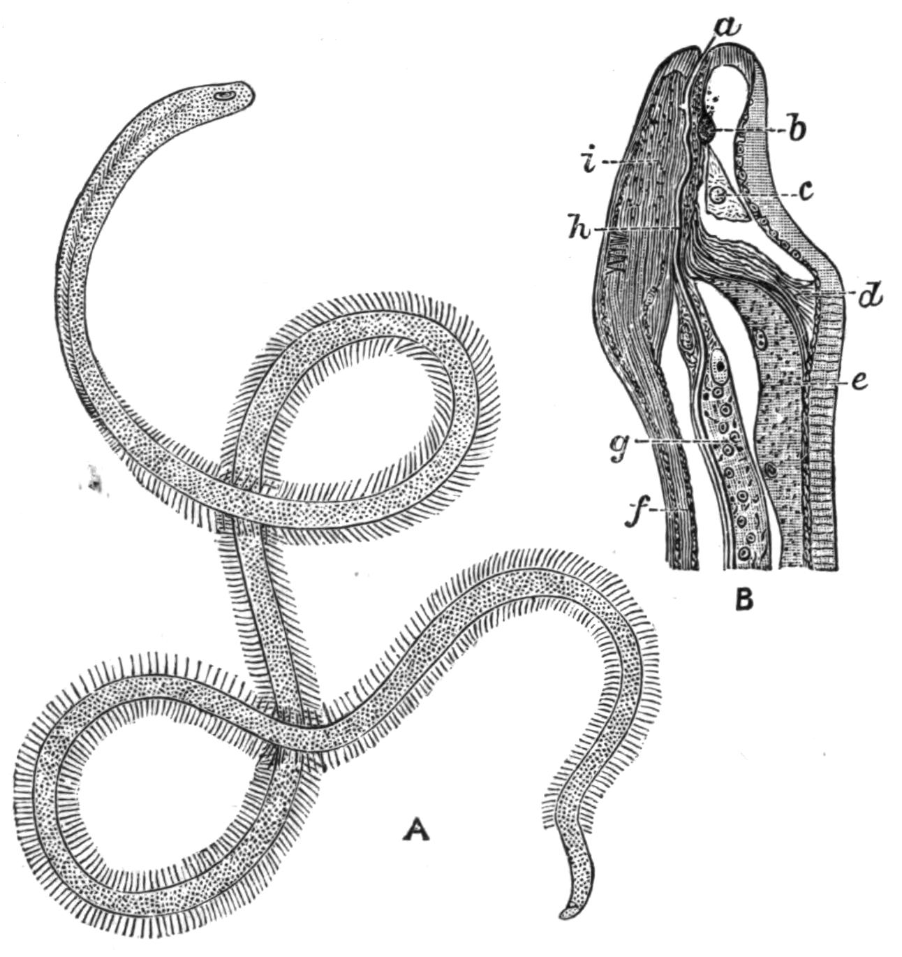 fig87