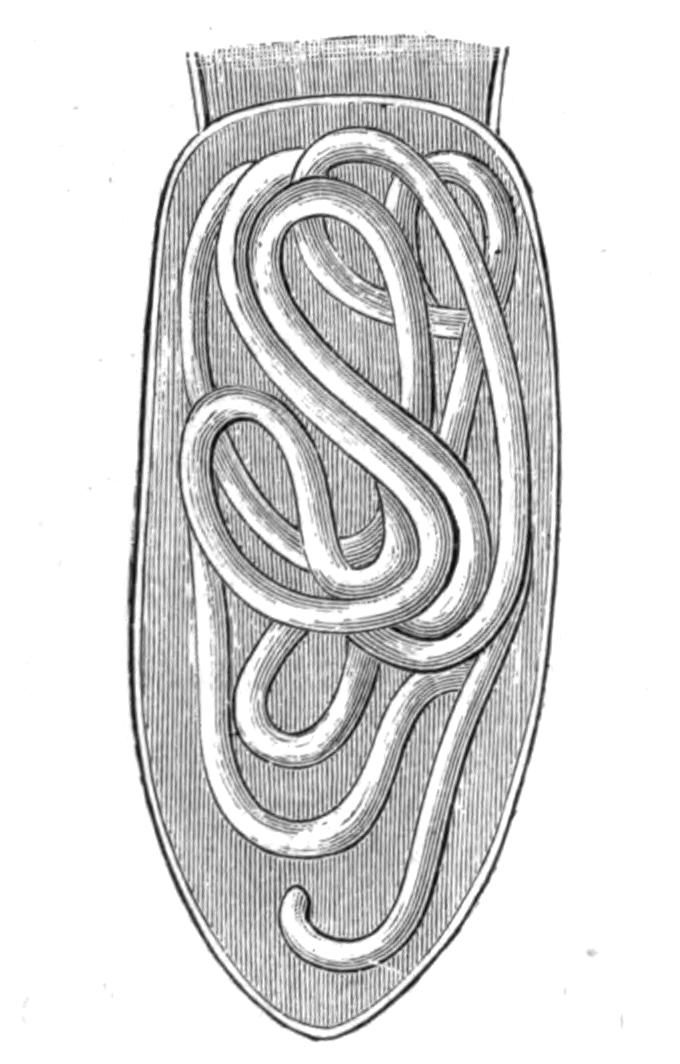 fig88