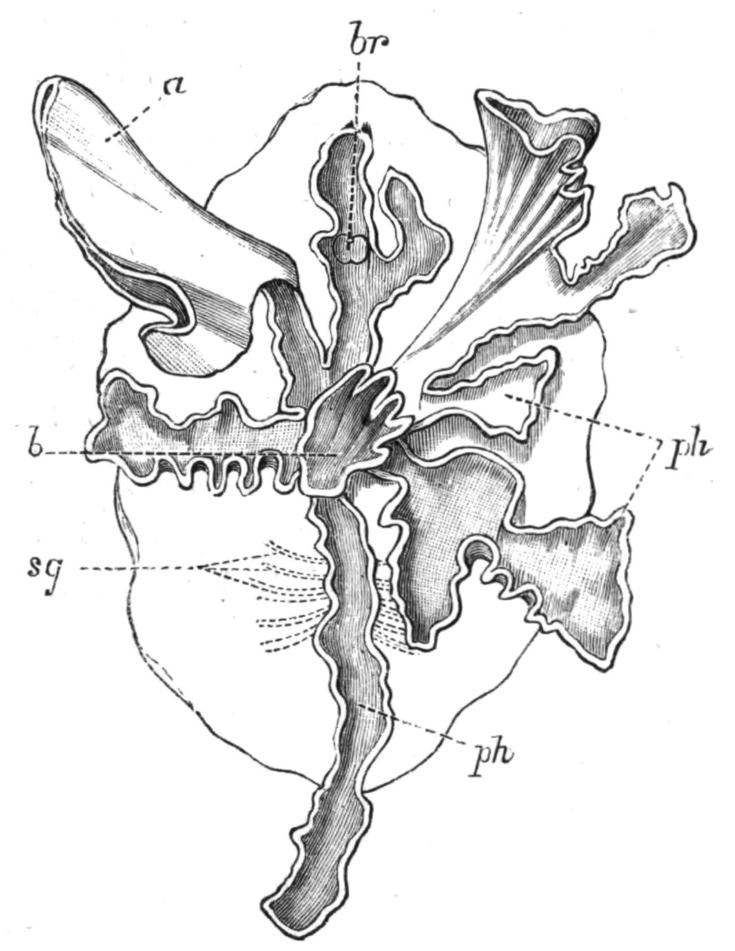 fig9