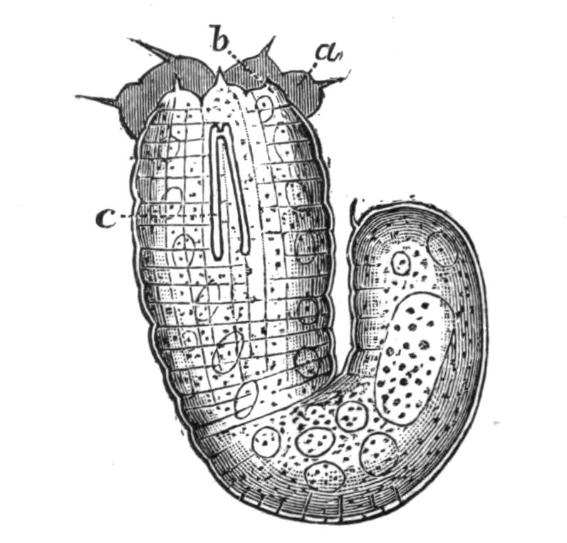 fig90