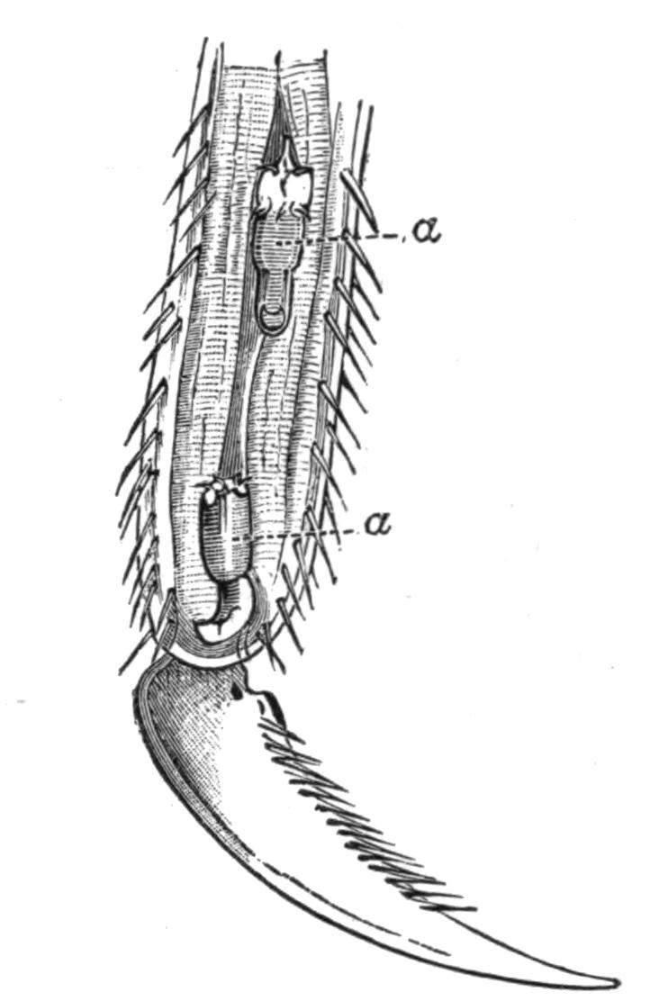 fig91