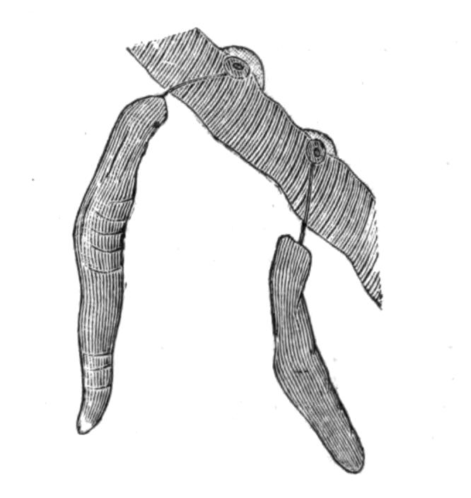 fig92