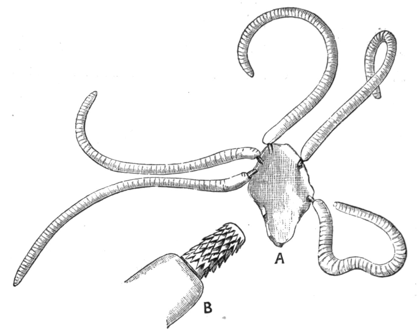 fig93