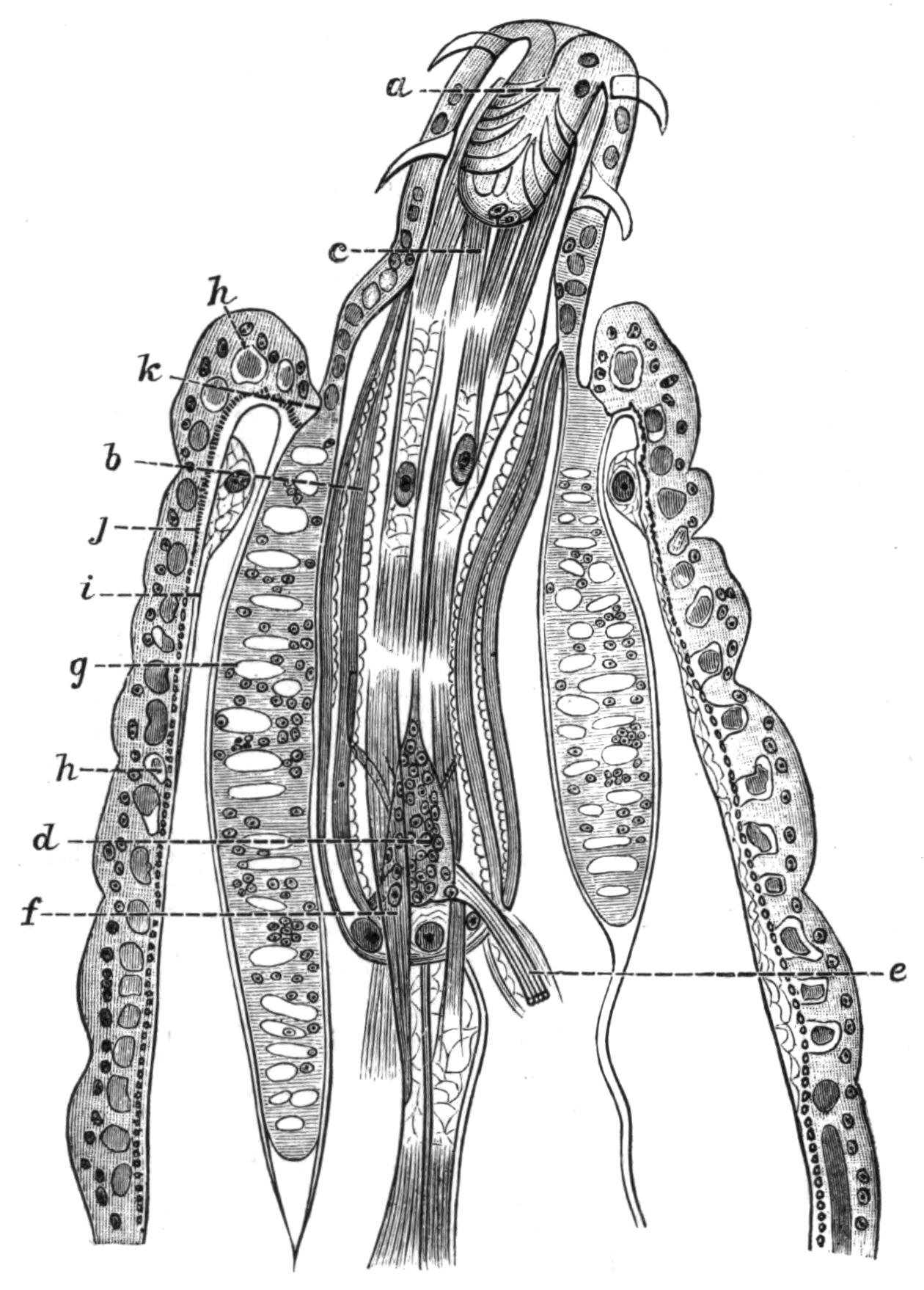 fig94