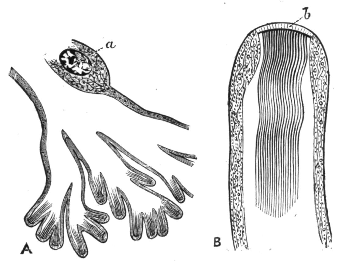 fig95