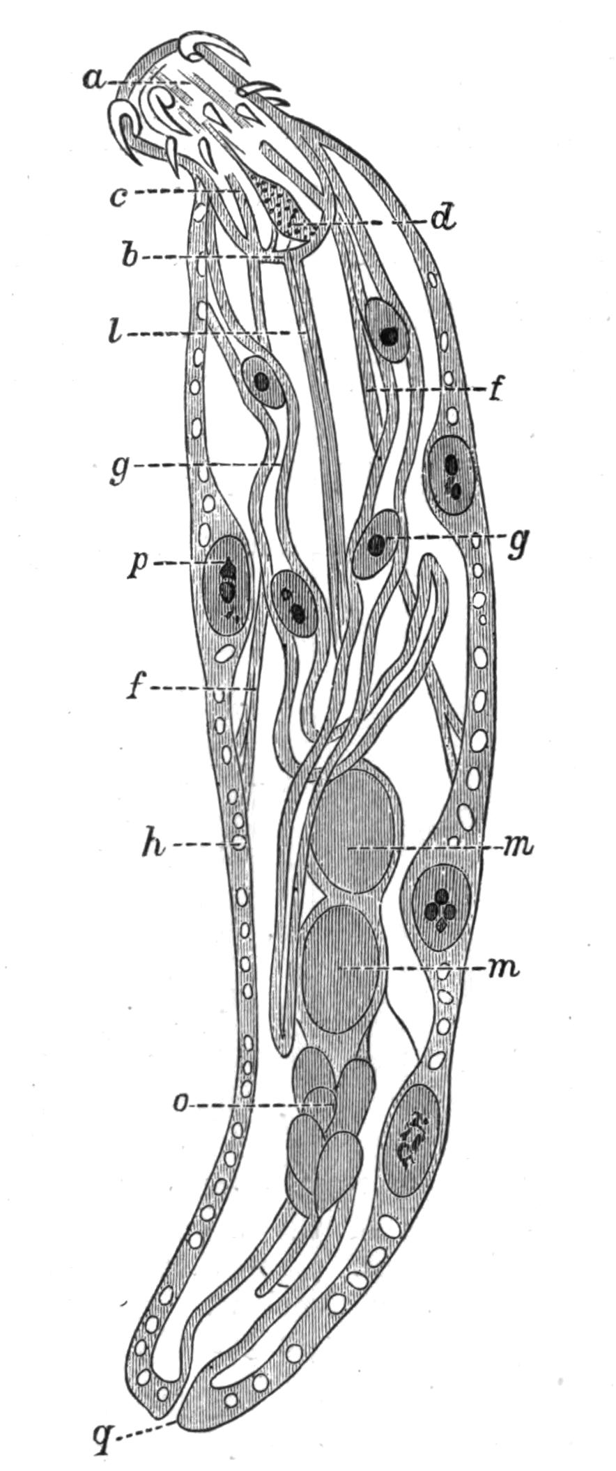 fig96