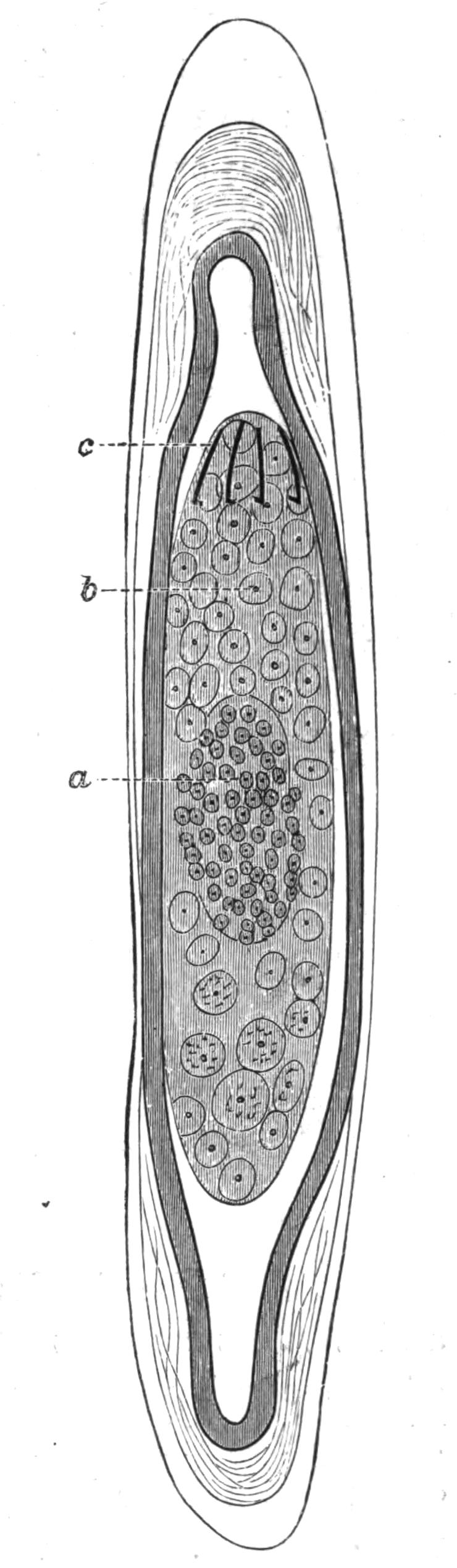 fig97