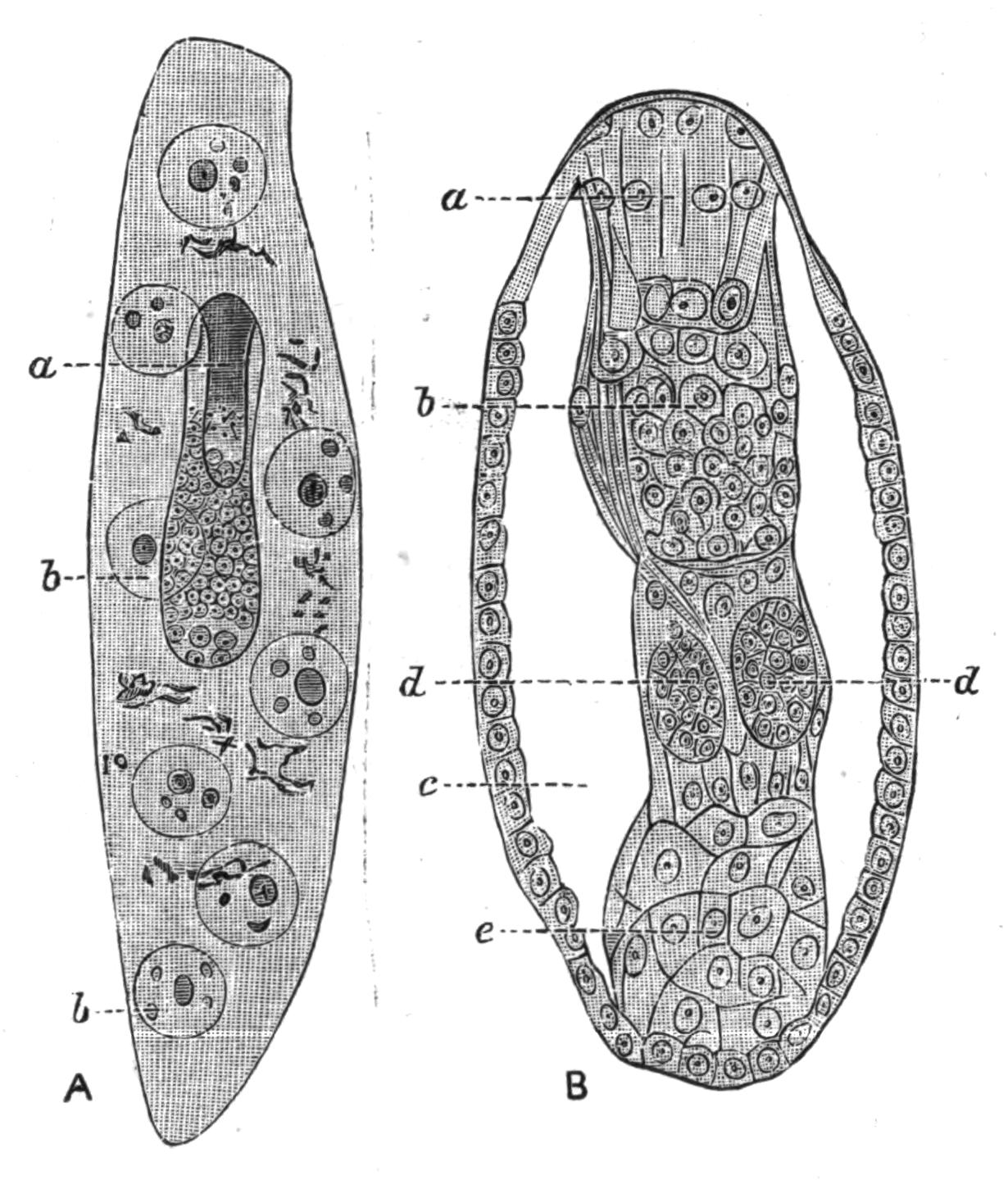 fig98