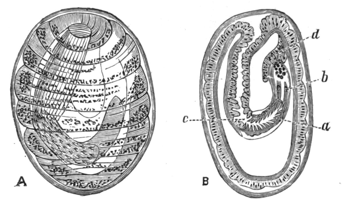 fig99