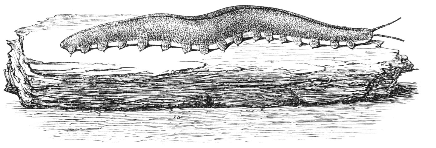 fig1