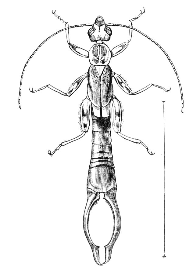 fig102